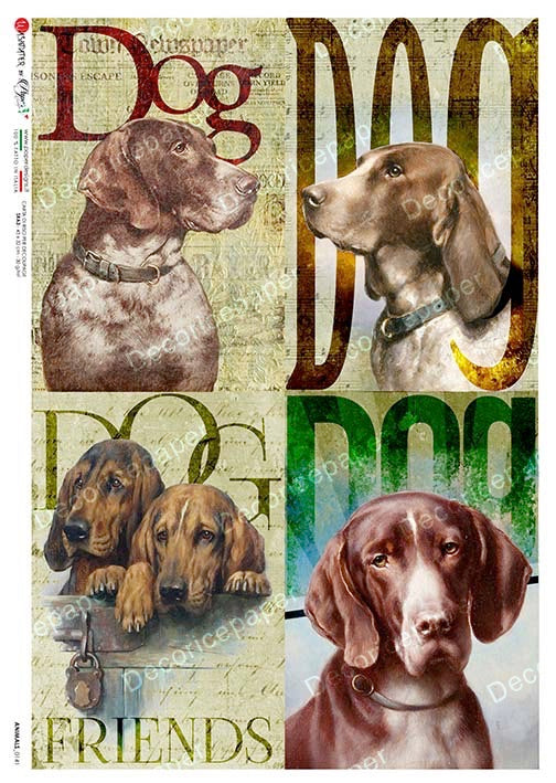 Animales 0141 - Papel de arroz A5 (5,8"x8,3")