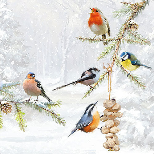 Birds perched on a branch with pine cones against a snowy background