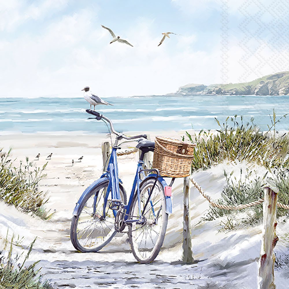 Blue bicycle with a basket on a sandy path leading to the beach with seagulls and ocean view.