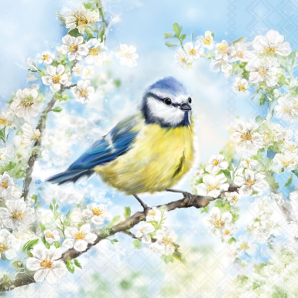 Bird perched on a branch with white flowers and a blue sky background