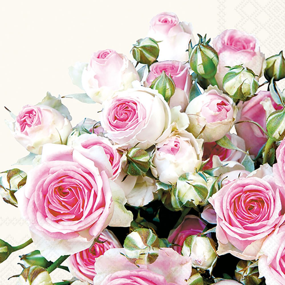 Bouquet of pink roses with green buds on a cream background