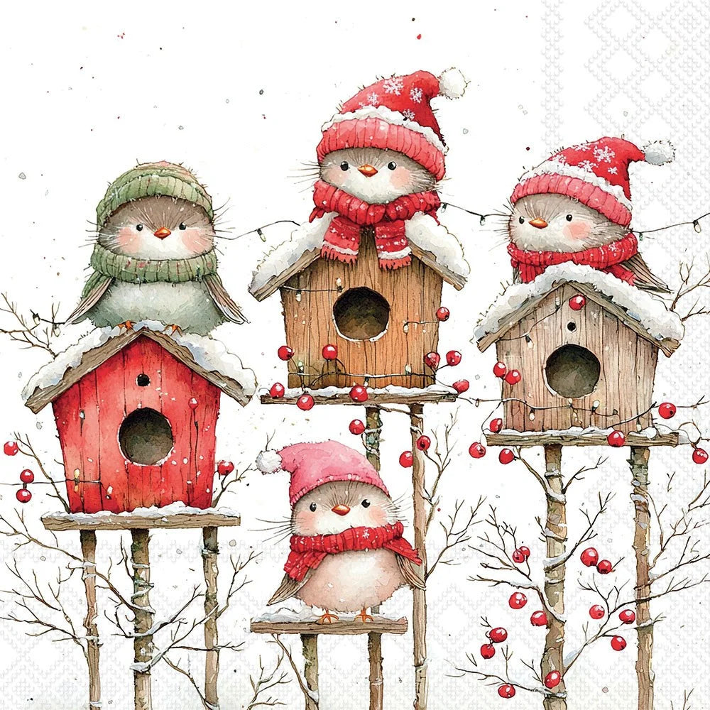 A whimsical winter illustration of four small birds wearing red and green knit hats and scarves, each perched on a snow-dusted wooden birdhouse. Bare branches with red berries decorate the scene against a white background with a faint snowflake pattern.