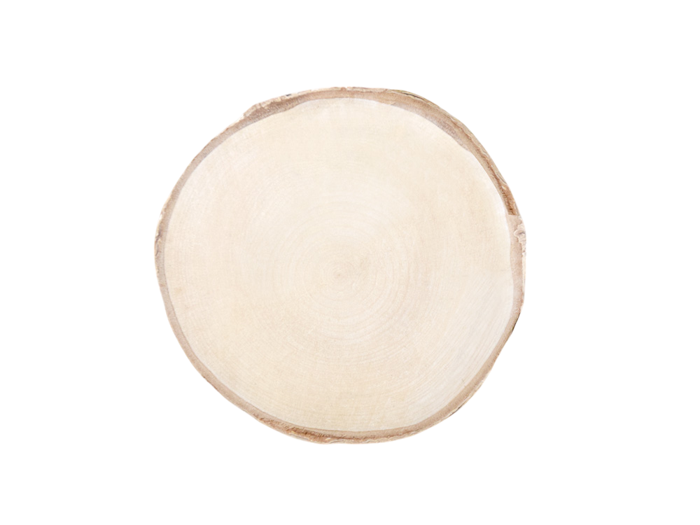 Rodaja de abedul natural: 13~15 cm (5,12~5,9")