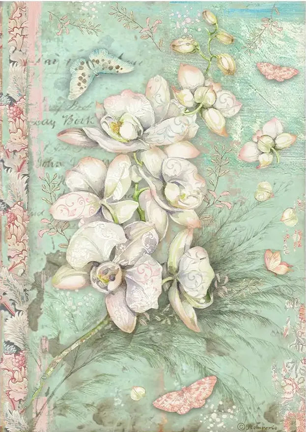 Orquídeas y gatos Orquídea blanca DFSA4848 - Papel de arroz A4