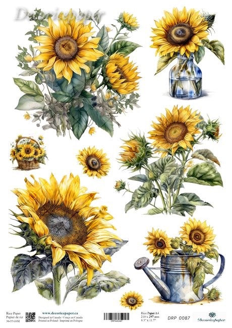 Illustrations of sunflowers and a watering can on a white background