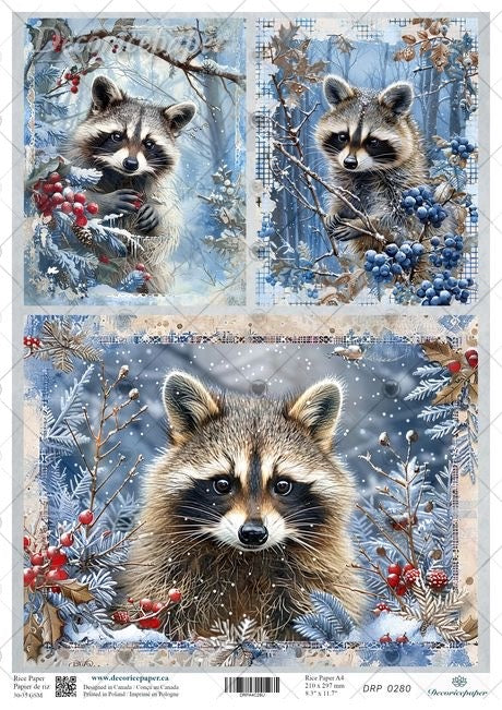 A decorative paper craft or art panel featuring three illustrated raccoon portraits in winter scenes, with snowy branches, blue berries, and a snowy forest background.