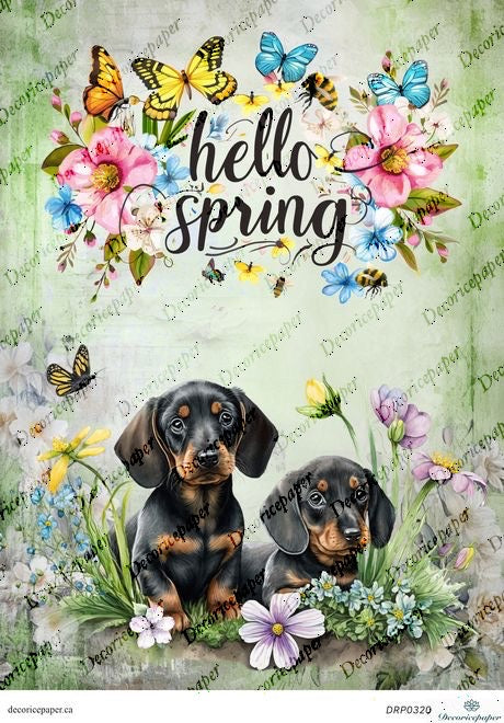DRP320 - Hello Spring Puppies - Rice Paper A4