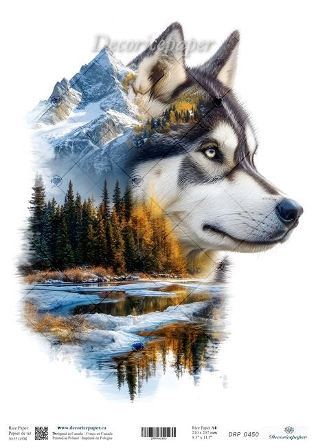 Husky dog's head with mountain and forest background