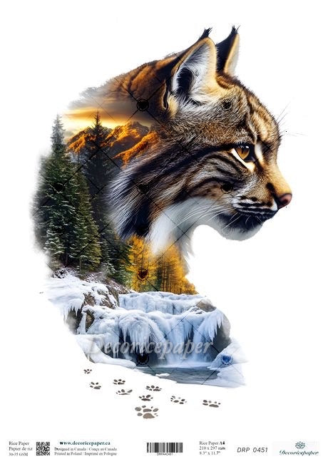 Lynx with a winter landscape featuring trees and water in the background