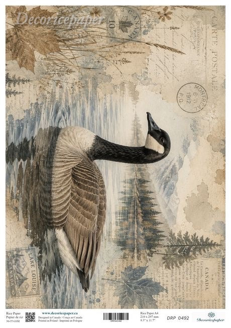 A decorative paper sheet featuring a large Canada goose over a vintage-style illustrated background with trees, postmarks, and faded text.