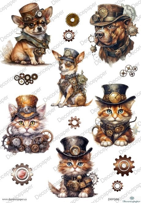 DRP066 - Steampunk Cats and Dogs - Rice paper A4
