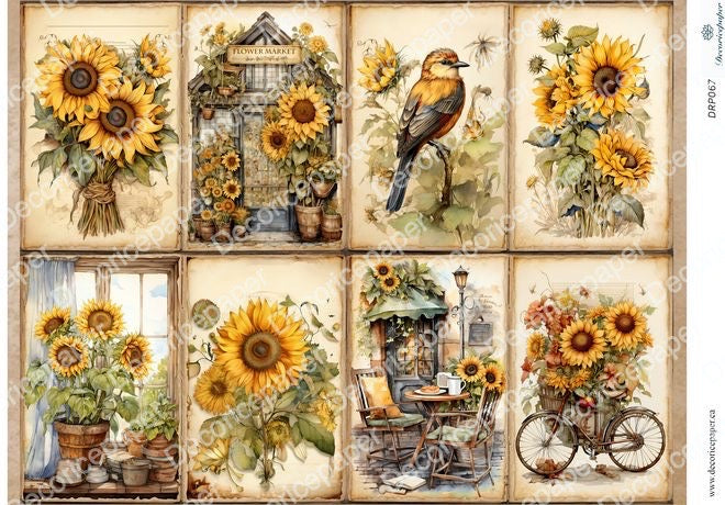 DRP067 - Vintage Sunflowers - Rice paper A4