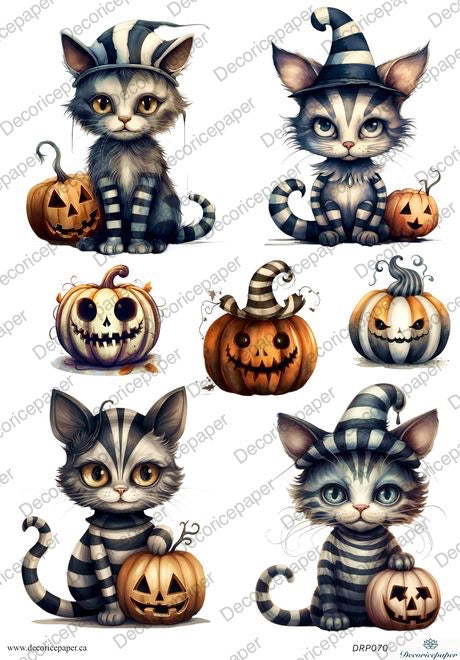DRP070 - Halloween Cats and Pumpkins - Rice paper A4