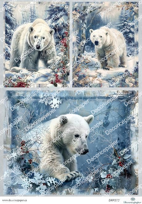 DRP273 - Polar Bear - Rice Paper A4
