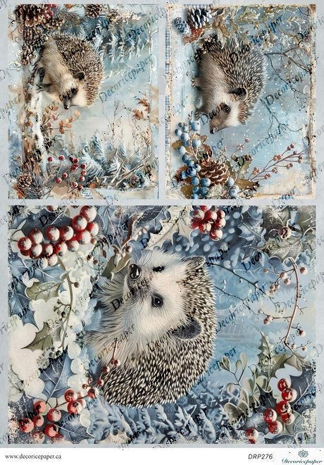 DRP276 - Winter Hedgehog - Rice Paper A4