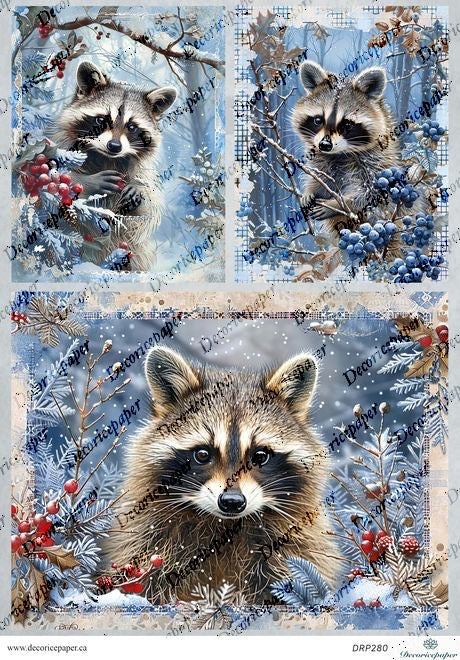 DRP280 - Winter Raccoon - Rice Paper A4