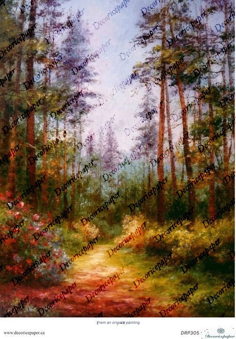 DRP305 - Enchanted Forest Path - Rice Paper A4