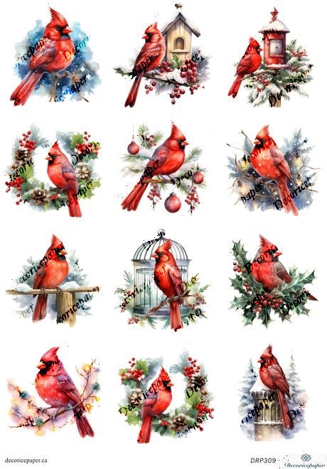 DRP309 - Christmas Red Cardinals - Rice Paper A4