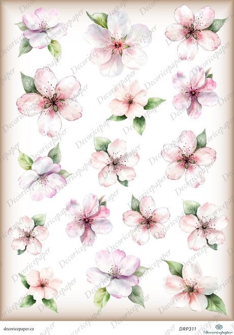 DRP311 - Cherry Blossom Elegance - Rice Paper A4