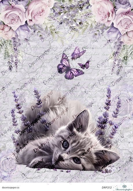 DRP312 - Lavender Dreams Kitten - Rice Paper A4