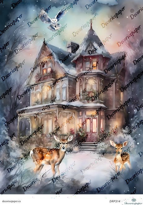 DRP314 - Winter Wonderland - Rice Paper A4