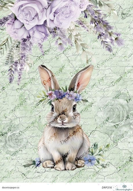 DRP316 - Spring Bunny - Rice Paper A4