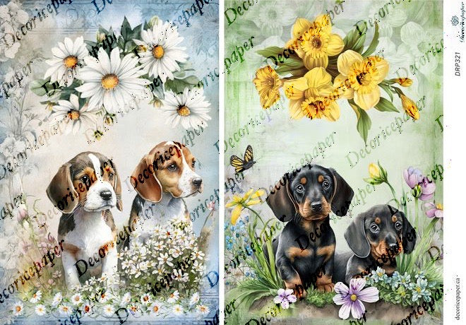 DRP321 - Spring Puppies - Rice Paper A4