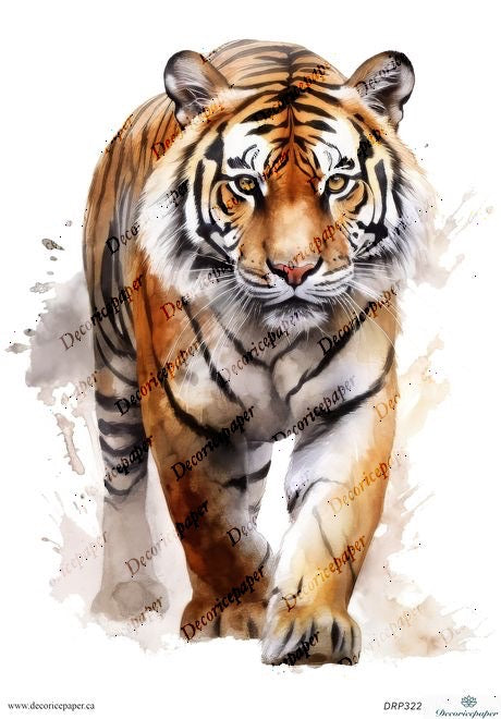 DRP322 - Majestic Tiger Rice Paper A4