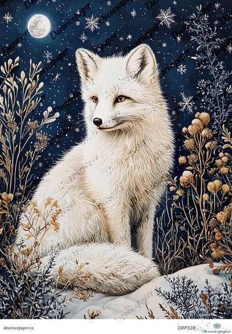 DRP338 - White Fox in Winter Night - Rice Paper A4