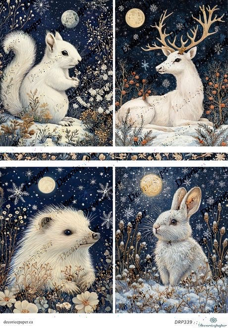 DRP339 - Winter Forest Animals - Rice Paper A4