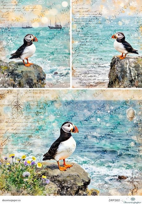 DRP360 - Puffins - Rice Paper A4