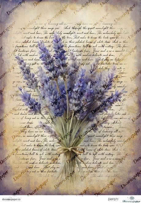 Bouquet of lavender on a textured paper background with text