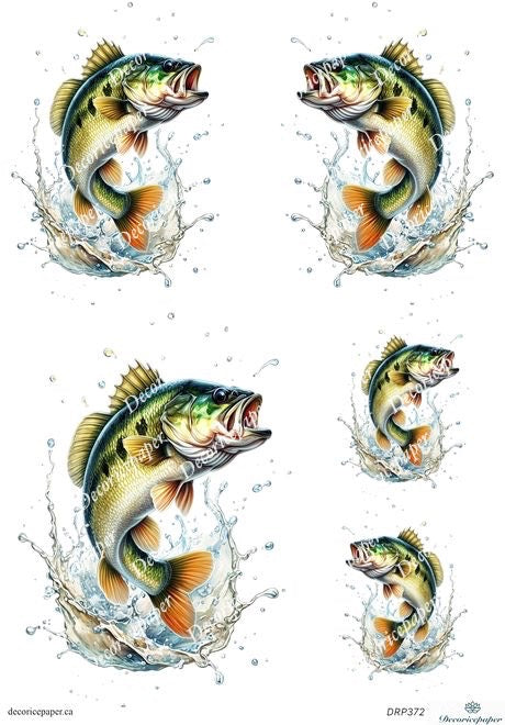 DRP372 - Jumping Bass Fish - Rice Paper A4