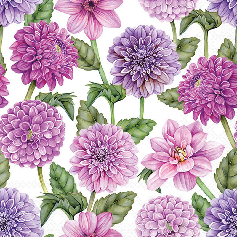 Dahlias in Bloom - Napkin