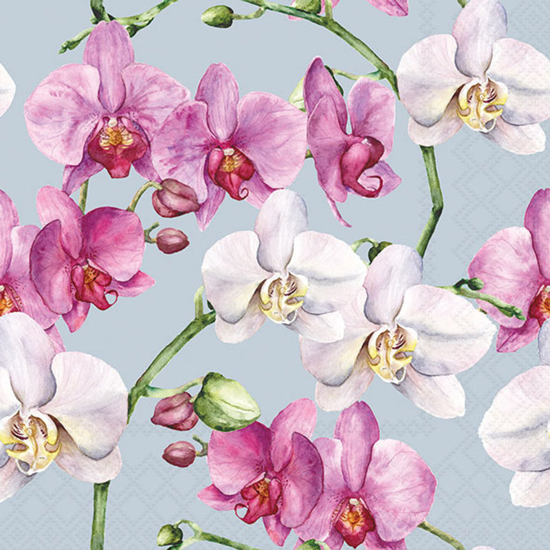 Elegant Orchids Blue - Napkin