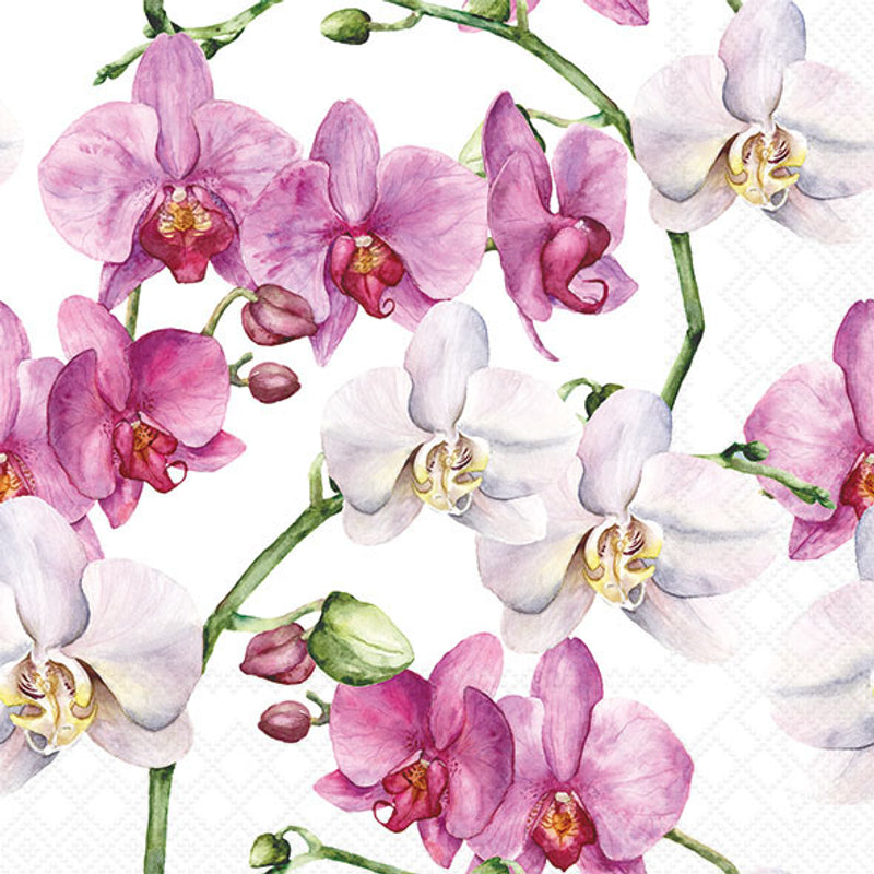 Elegant Orchids White - Napkin
