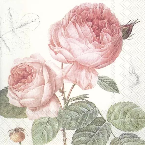 Elisabeth - Servilleta
