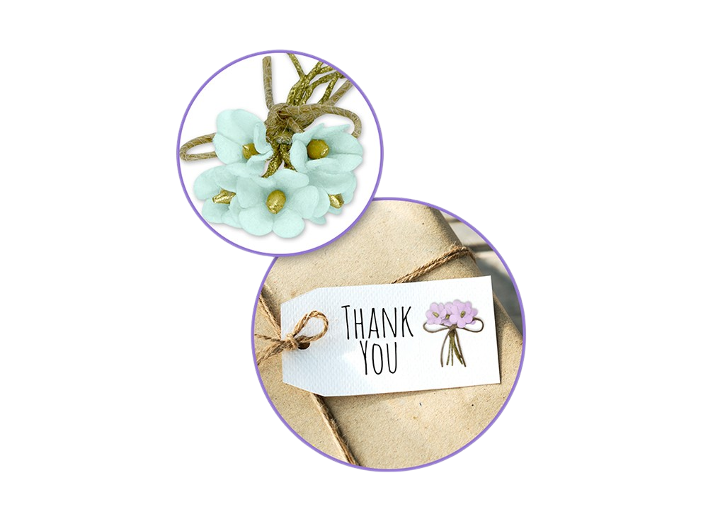 3D Daisy Flower - Pastel