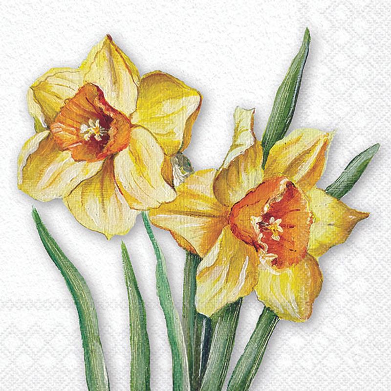 Narcisos en flor - Servilleta