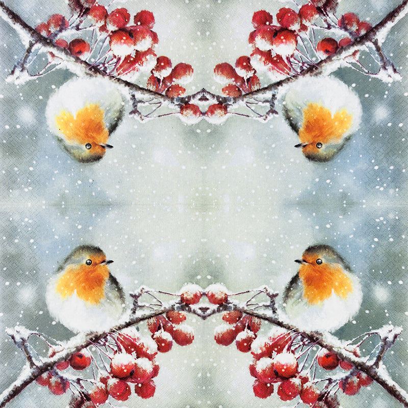 Four robins perched on a branch with red berries against a snowy background