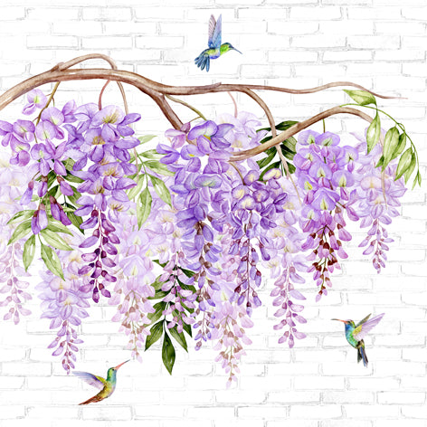 Purple wisteria flowers with green leaves and hummingbirds on a white brick wall background