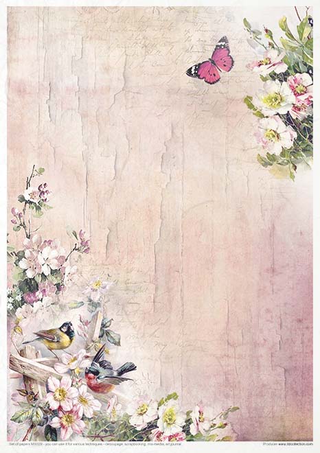 MS029 Verano rosado - Conjunto creativo