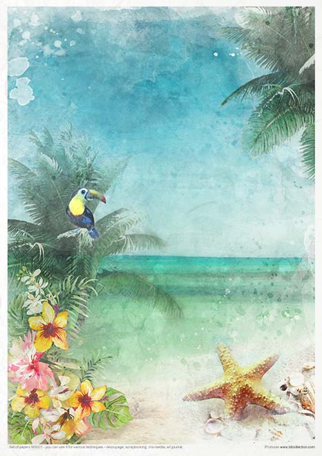 MS031 Sueños tropicales - Set creativo
