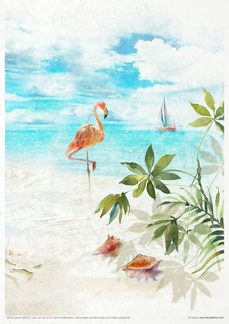 MS031 Sueños tropicales - Set creativo