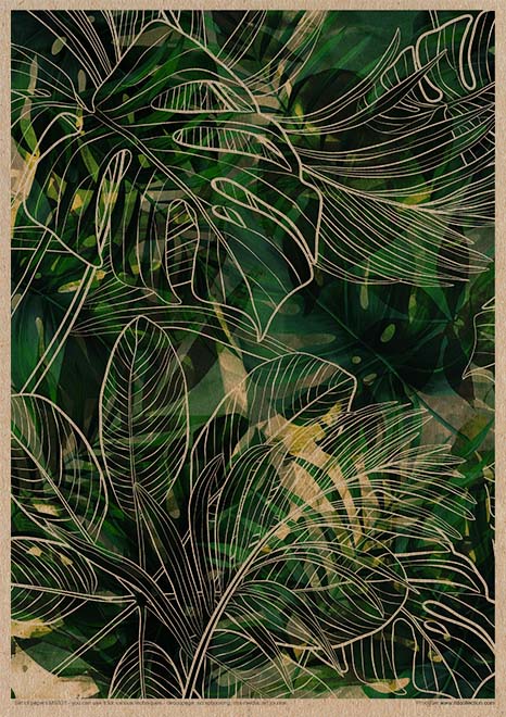 MS031 Sueños tropicales - Set creativo