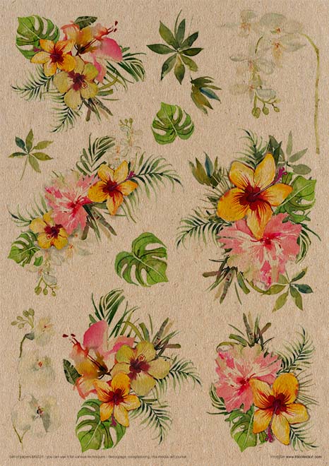 MS031 Sueños tropicales - Set creativo