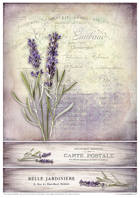 MS036 Lavande - Ensemble créatif