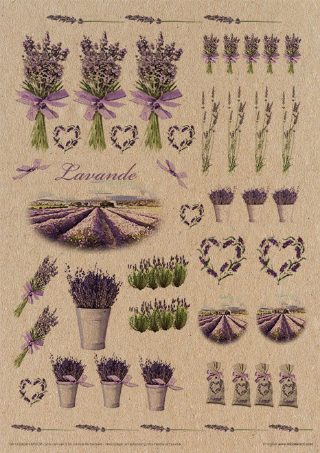 MS036 Lavande - Ensemble créatif