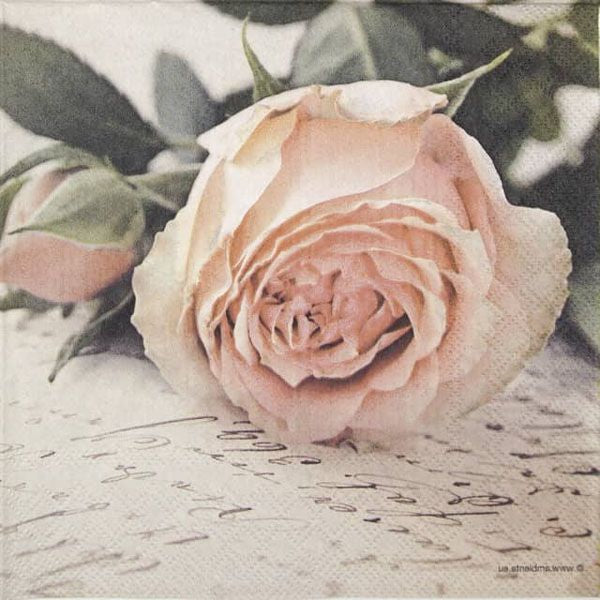 Mary Vintage - Napkin