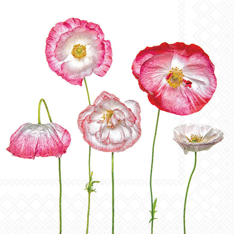 Pale Poppies - Napkin